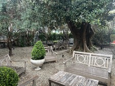 Enlarge photo 43