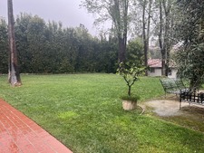 Enlarge photo 48