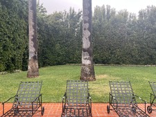Enlarge photo 53