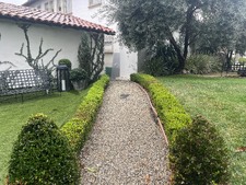 Enlarge photo 67