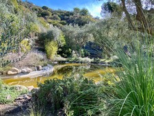Enlarge photo 21