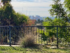 Enlarge photo 77