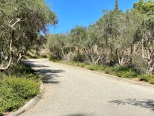 Enlarge photo 125