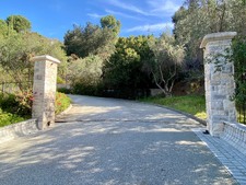 Enlarge photo 126
