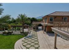 Enlarge photo 133
