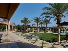 Enlarge photo 138