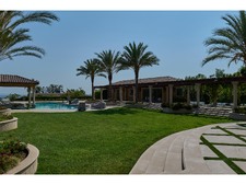 Enlarge photo 142
