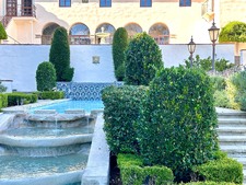 Enlarge photo 97