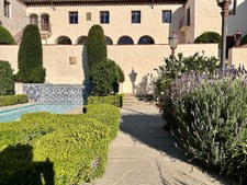 Enlarge photo 119