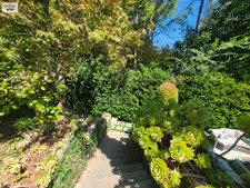 Enlarge photo 78