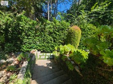 Enlarge photo 79