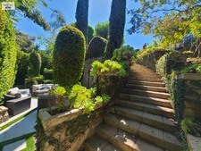 Enlarge photo 81