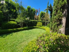 Enlarge photo 113