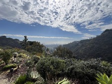 Enlarge photo 39