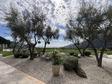 Enlarge photo 46