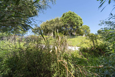 Enlarge photo 109