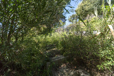 Enlarge photo 110