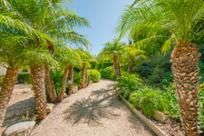 Enlarge photo 46