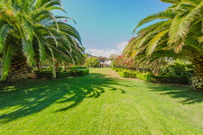 Enlarge photo 53
