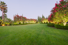 Enlarge photo 56