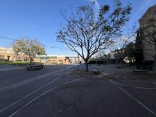 Enlarge photo 57