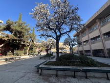 Enlarge photo 21