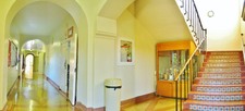 Enlarge photo 59