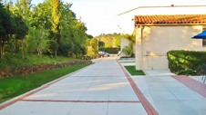 Enlarge photo 113