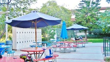 Enlarge photo 115
