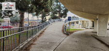 Enlarge photo 61