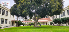 Enlarge photo 75