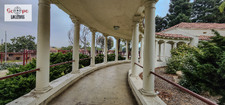 Enlarge photo 81