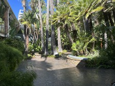 Enlarge photo 67