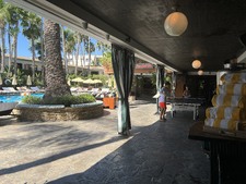 Enlarge photo 64