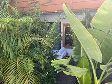Enlarge photo 42