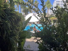 Enlarge photo 40