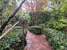Enlarge photo 37