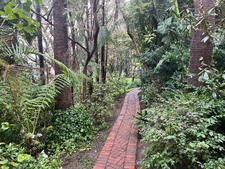 Enlarge photo 38