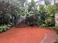 Enlarge photo 40