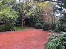 Enlarge photo 41