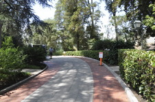 Enlarge photo 27