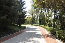 Enlarge photo 11