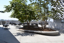 Enlarge photo 40