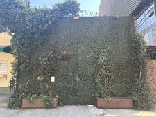 Enlarge photo 18