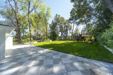Enlarge photo 83