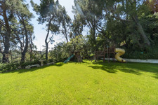 Enlarge photo 86