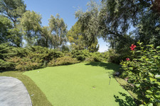 Enlarge photo 88