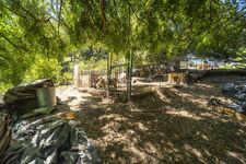 Enlarge photo 127