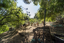 Enlarge photo 128