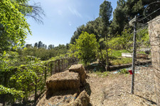 Enlarge photo 129